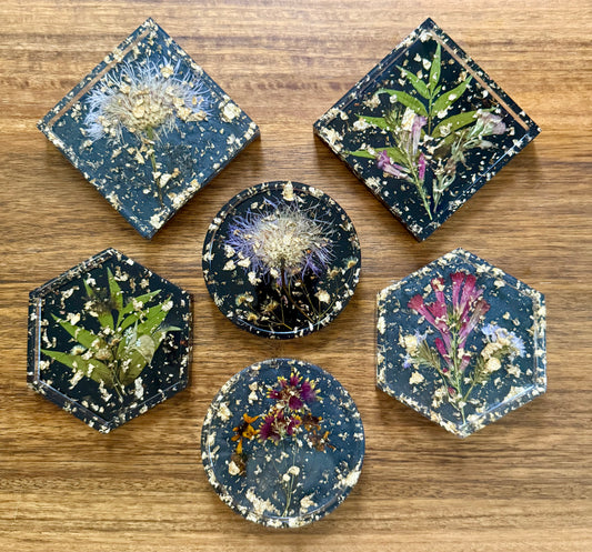 Texas Wildflower Coasters